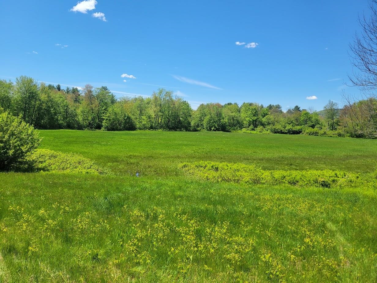 Lot91 Eastern District Road Danbury, NH 03230 - Photo 10 of 13