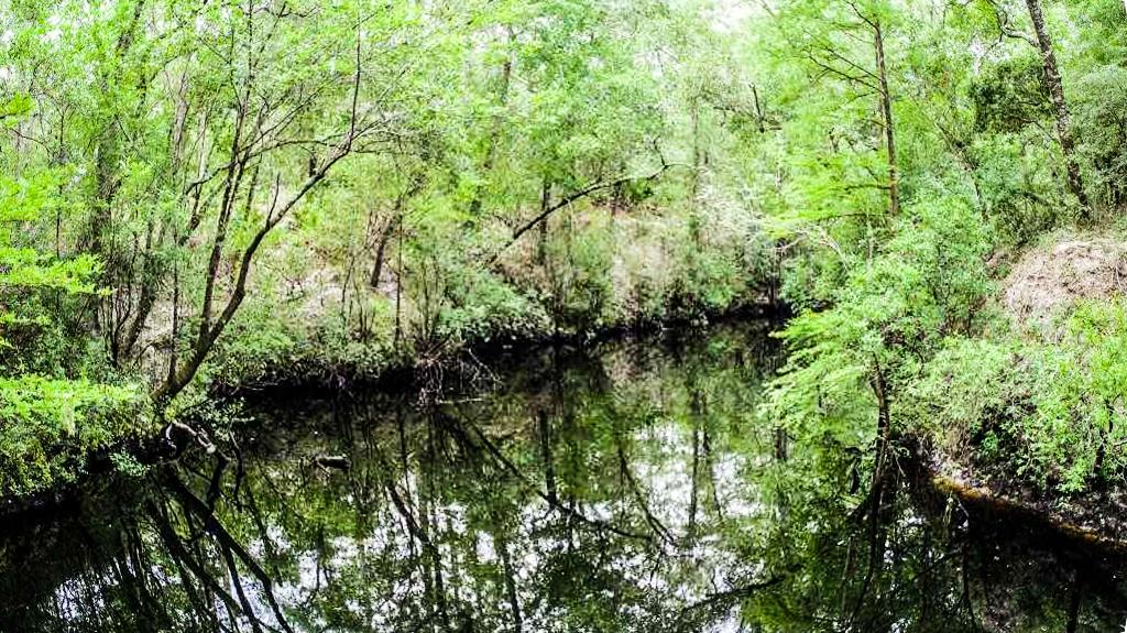 Lot 46 Mt Beasor Road Sopchoppy, FL 32358 - Photo 1 of 2