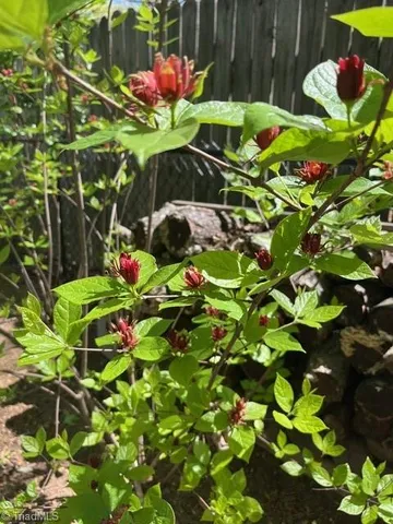 $285,000 | 920 Ransom Road, Winston-Salem, NC 27106