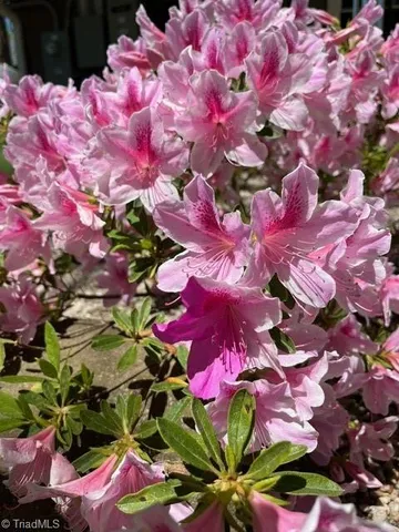 $285,000 | 920 Ransom Road, Winston-Salem, NC 27106