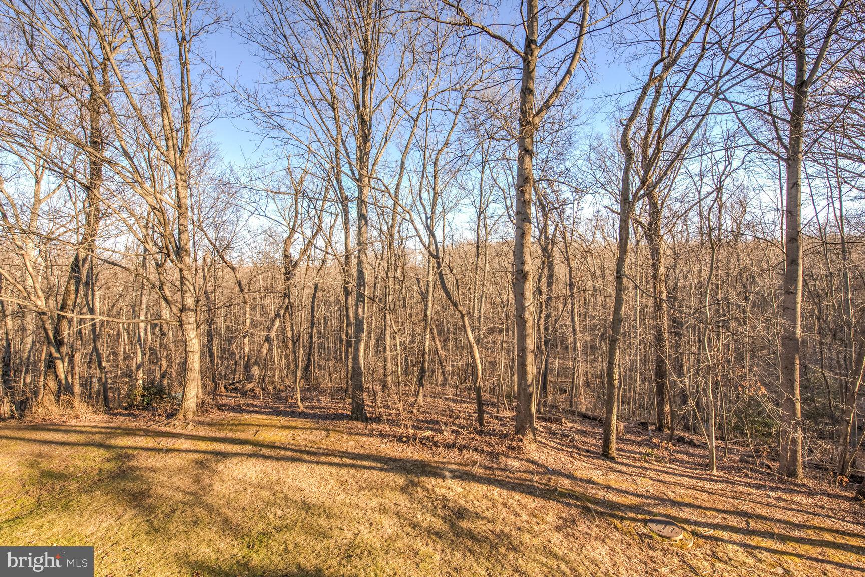 1642 Oak Spring Way Reston, VA 20190 - Photo 30 of 30 View from Back Deck of Picturesque Parkland