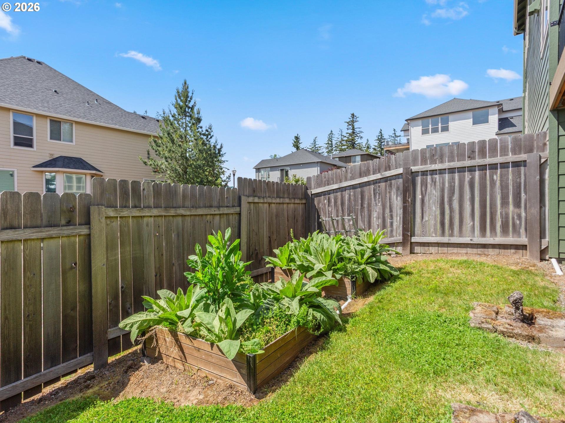 1012 Northwest Goodwin Street Camas, WA 98607 - Photo 36 of 44 a garden with plants in front of it