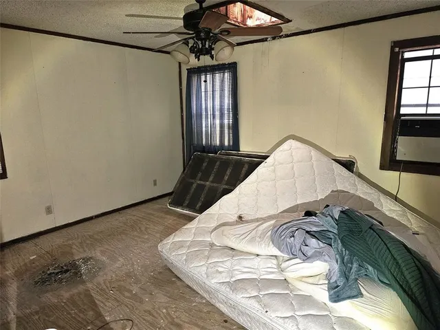 a view of a yard with trees