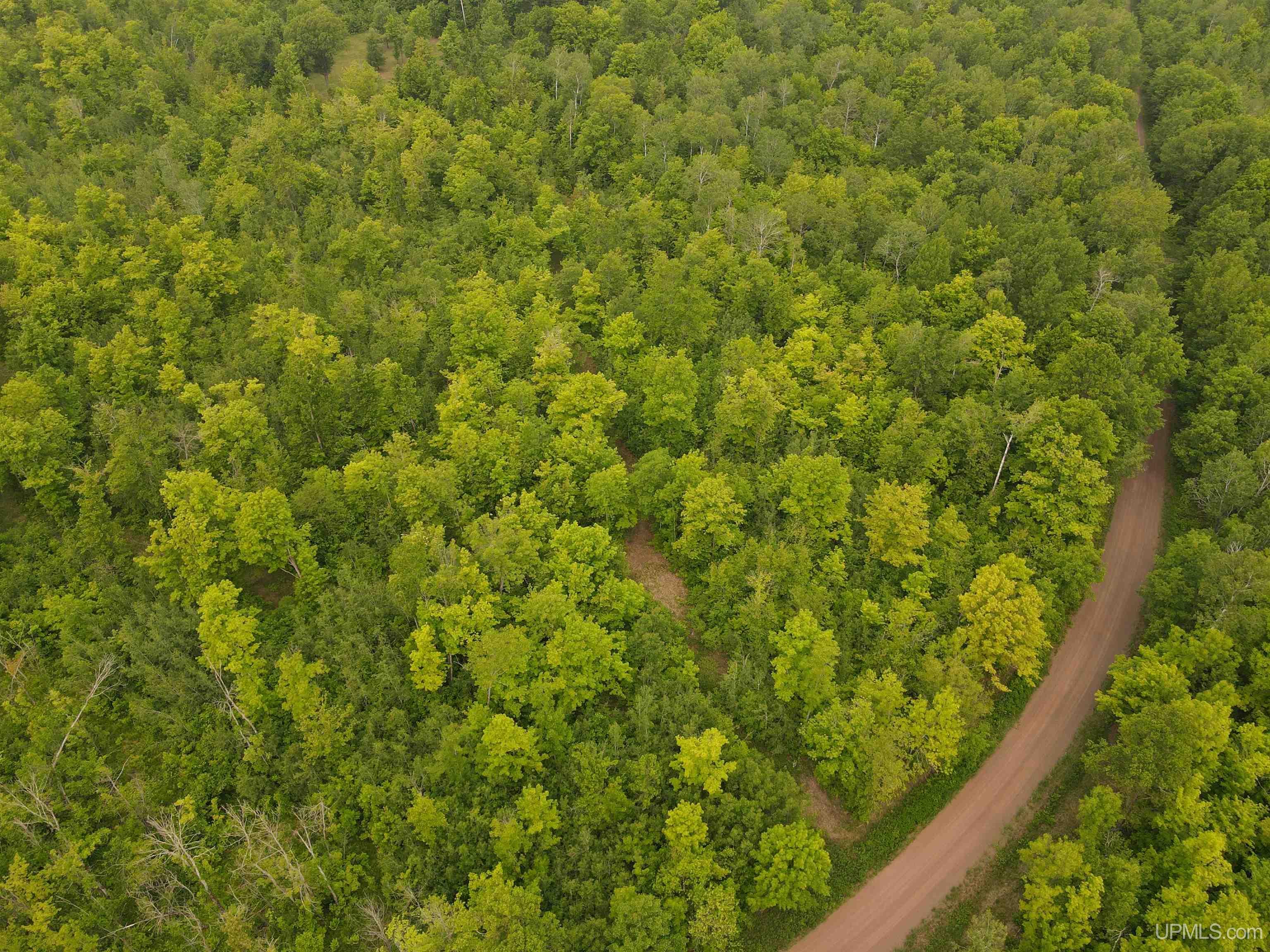 Sanborn-wi Potato River Road Mellen, WI 54546 - Photo 24 of 34