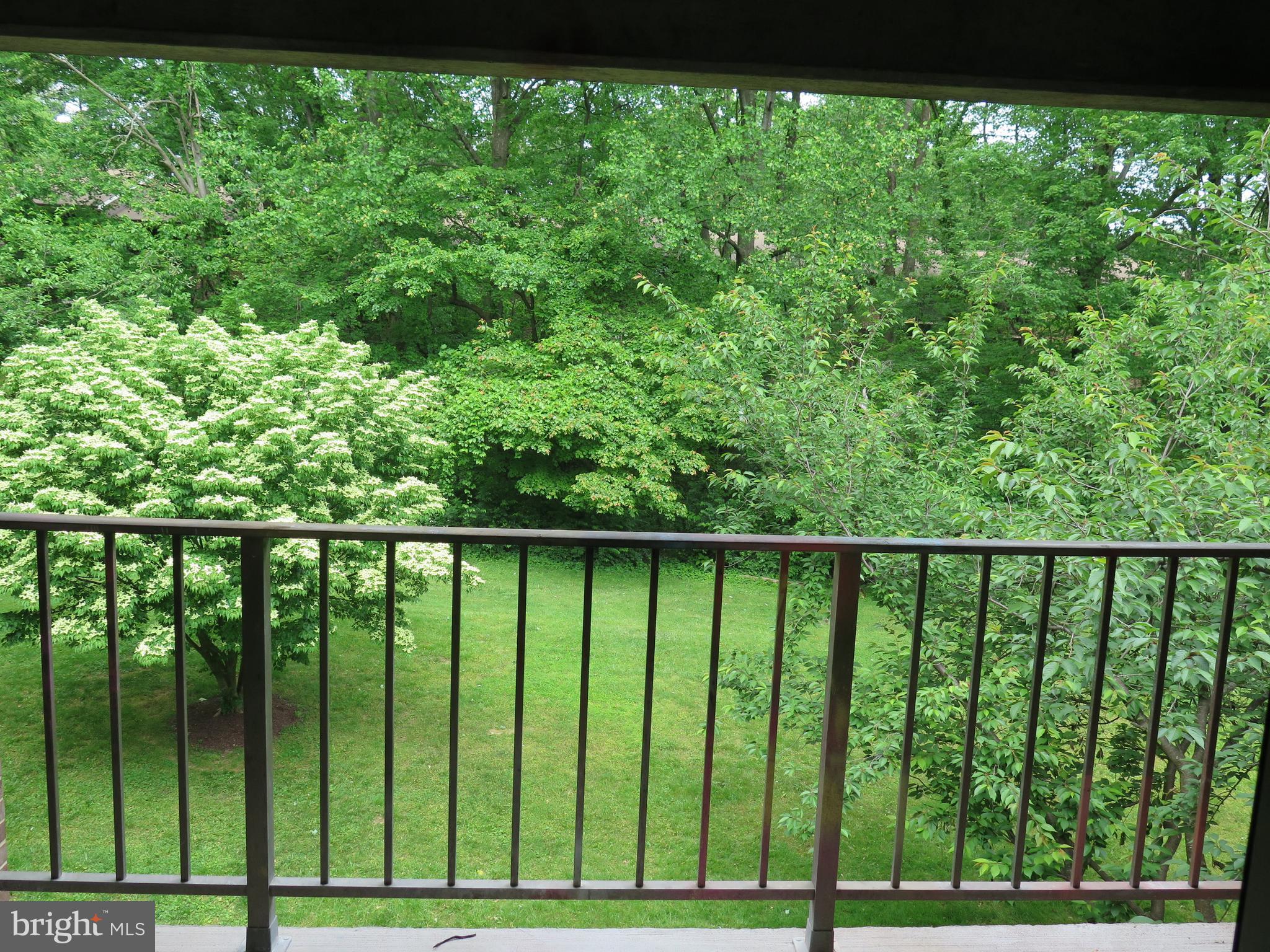1424 Northgate Square, Unit 21B Reston, VA 20190 - Photo 20 of 28 Common area of community view from Deck