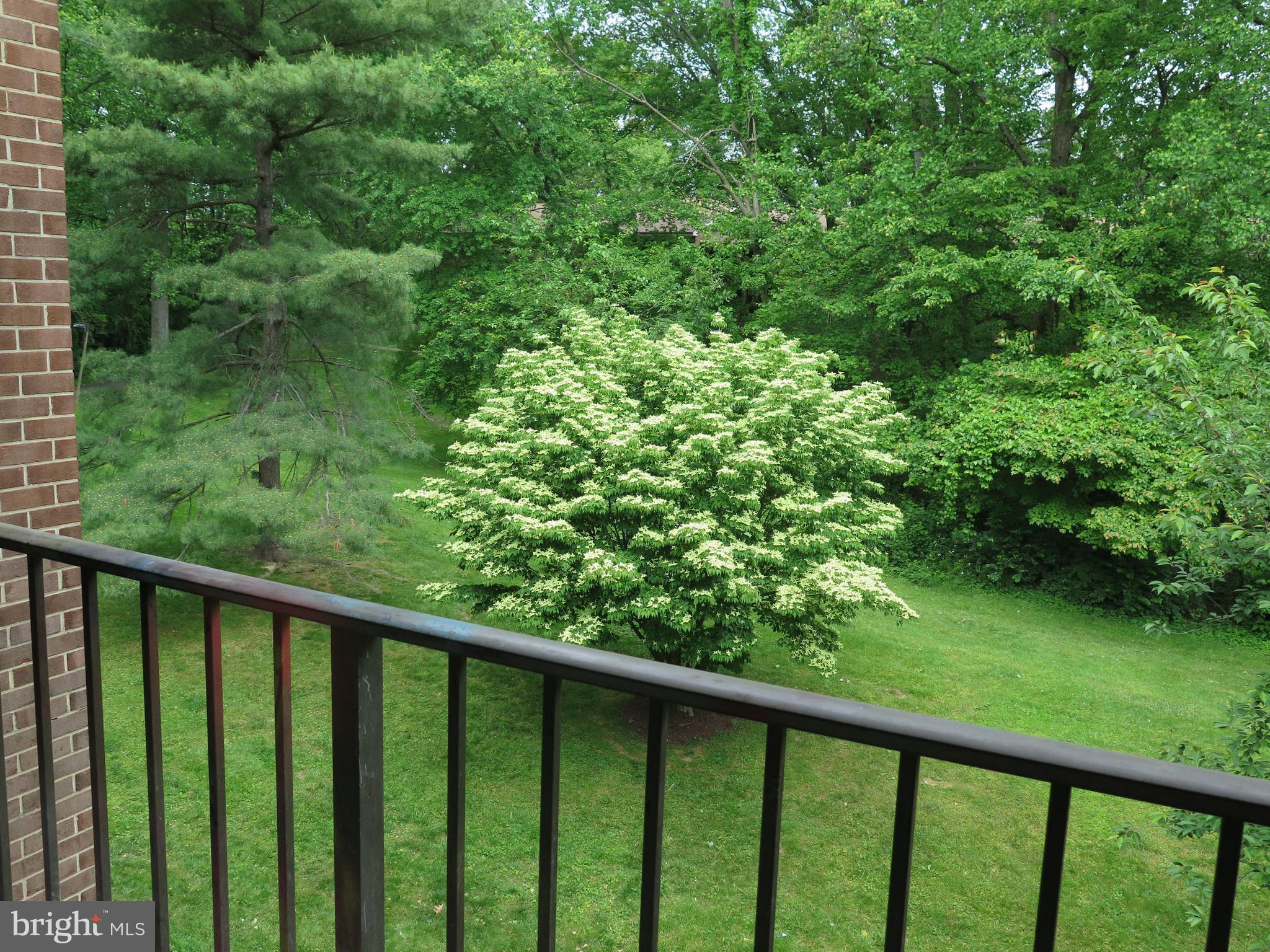 1424 Northgate Square, Unit 21B Reston, VA 20190 - Photo 21 of 28 View to left from Deck