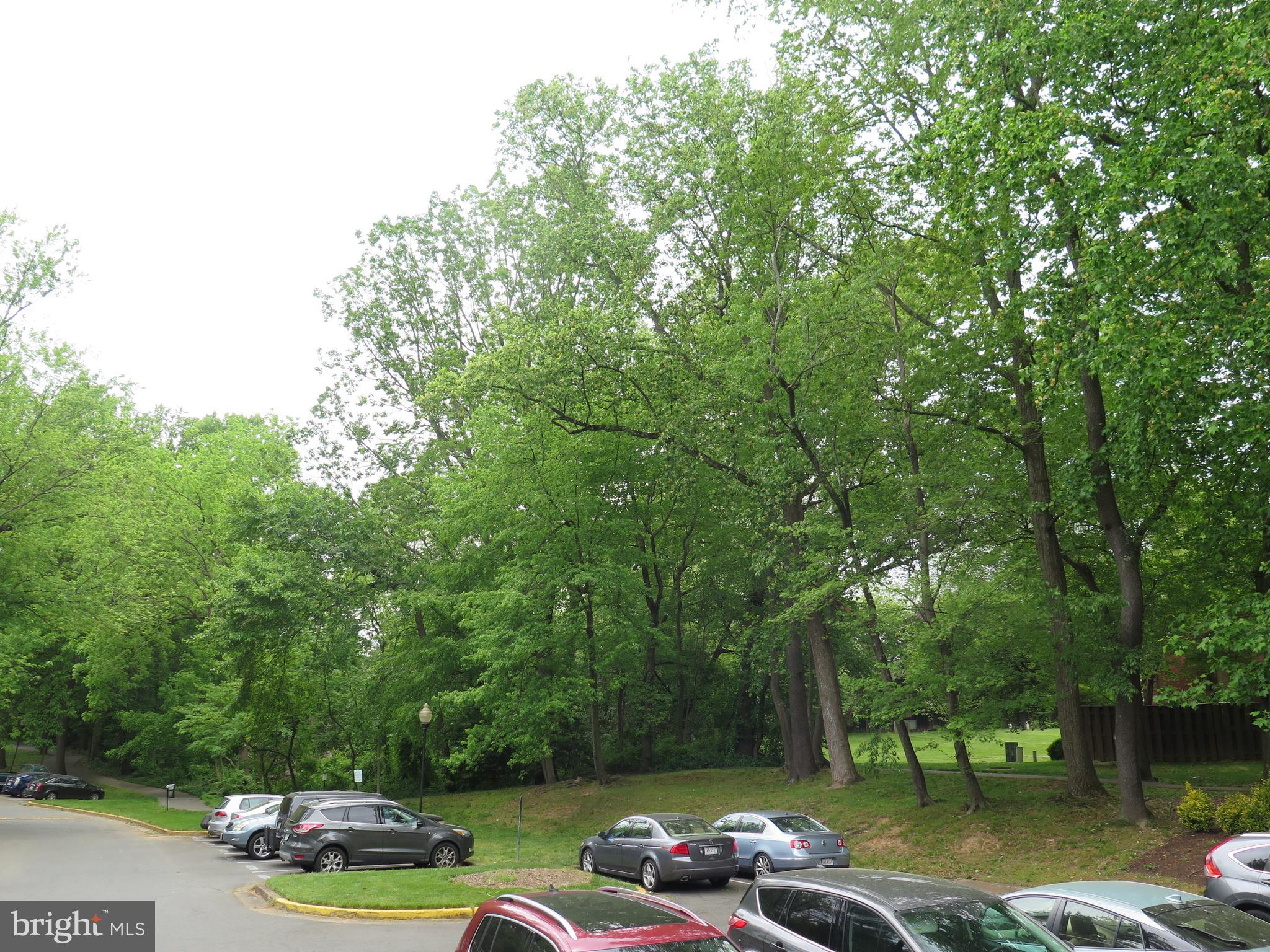 1424 Northgate Square, Unit 21B Reston, VA 20190 - Photo 27 of 28 View from entry to building over parking area