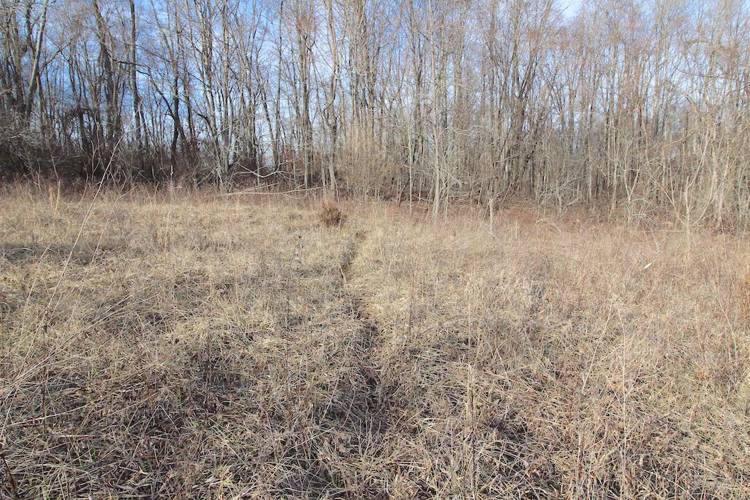 11475 Hook Road Pleasant City, OH 43772 - Photo 11 of 28