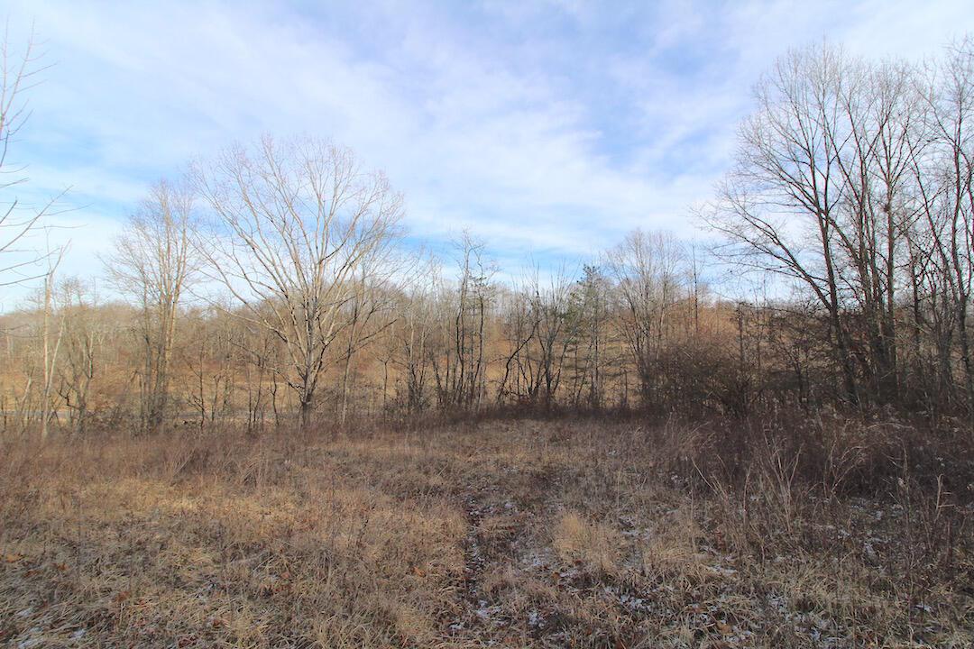 11475 Hook Road Pleasant City, OH 43772 - Photo 17 of 28