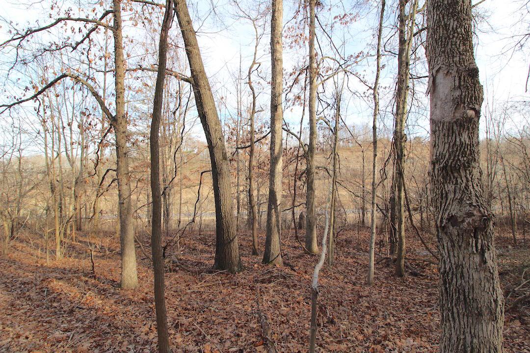 11475 Hook Road Pleasant City, OH 43772 - Photo 18 of 28