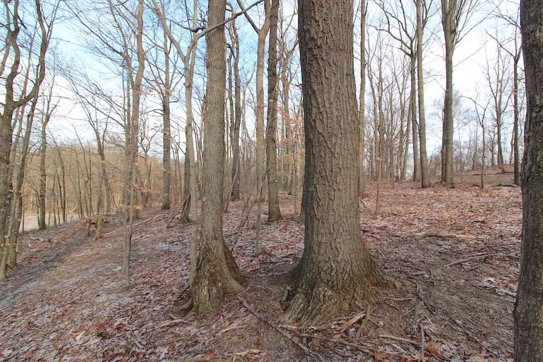 11475 Hook Road Pleasant City, OH 43772 - Photo 2 of 28