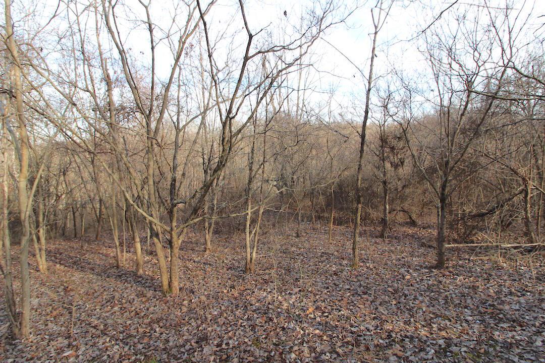 11475 Hook Road Pleasant City, OH 43772 - Photo 22 of 28