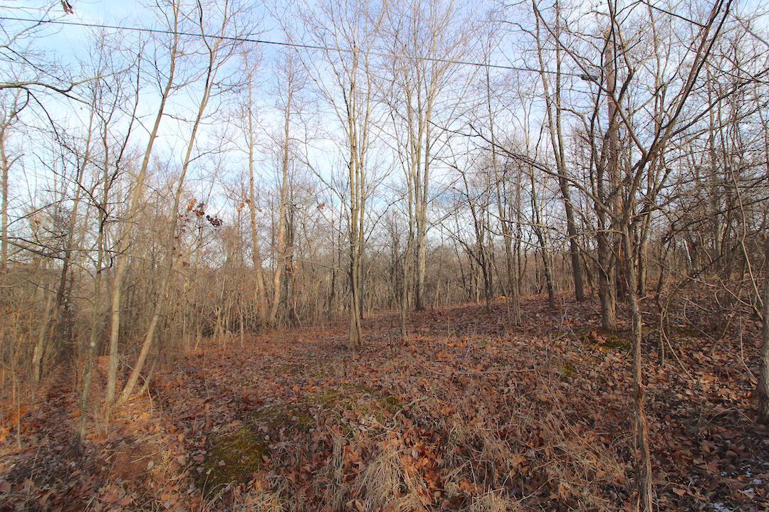 11475 Hook Road Pleasant City, OH 43772 - Photo 24 of 28