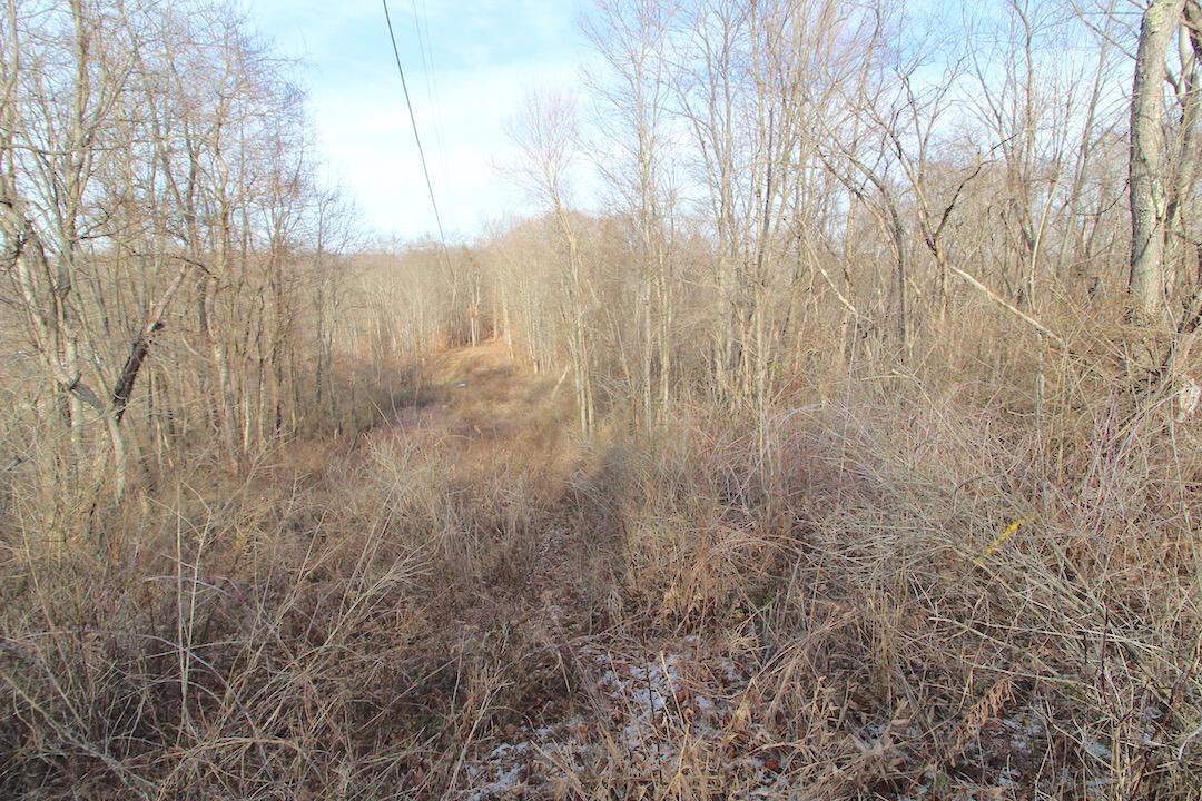 11475 Hook Road Pleasant City, OH 43772 - Photo 6 of 28