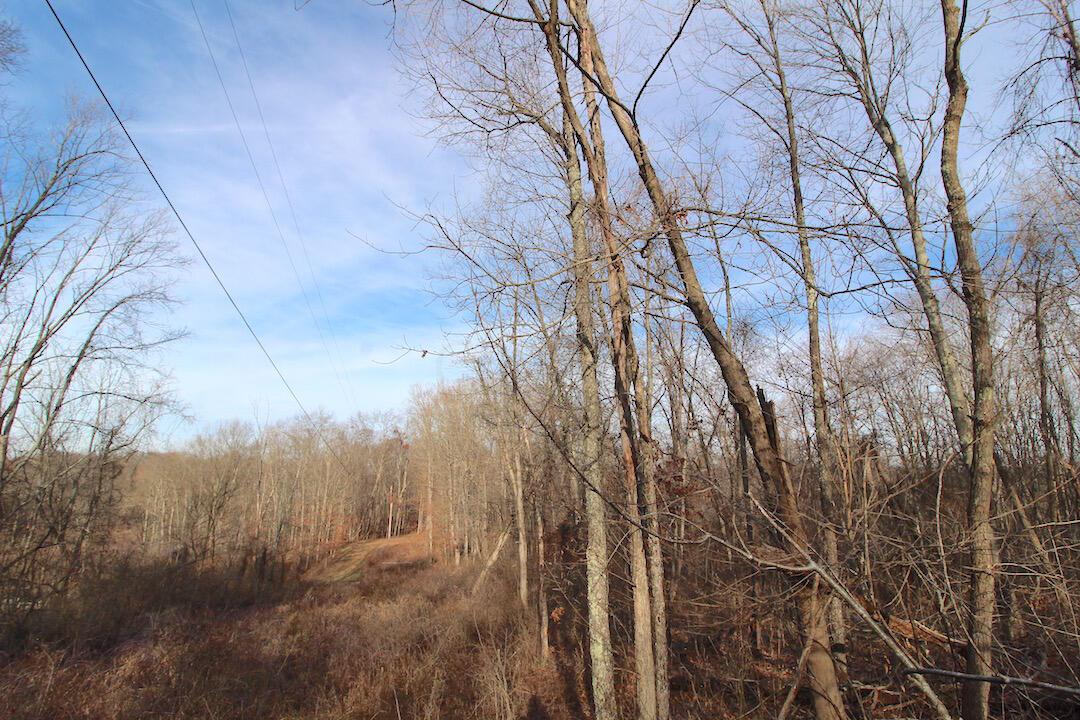 11475 Hook Road Pleasant City, OH 43772 - Photo 7 of 28