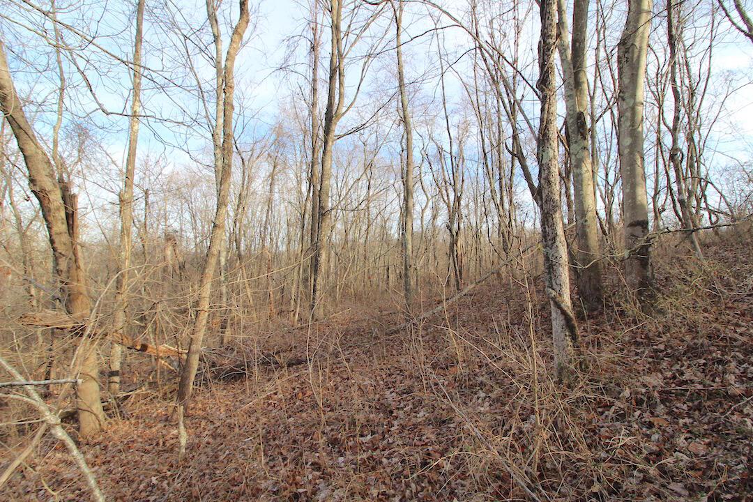 11475 Hook Road Pleasant City, OH 43772 - Photo 8 of 28