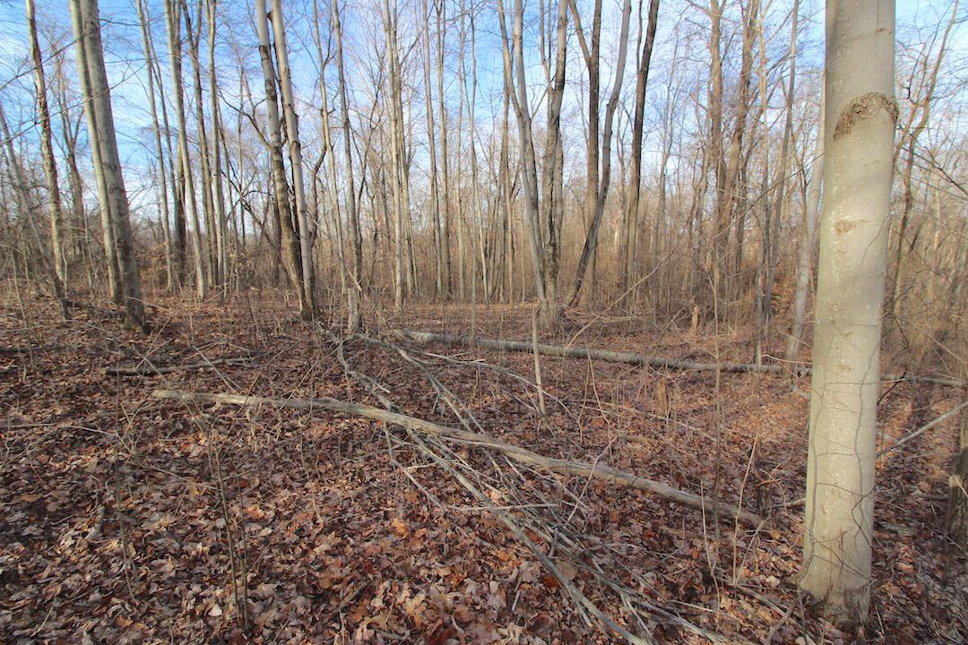 11475 Hook Road Pleasant City, OH 43772 - Photo 10 of 28