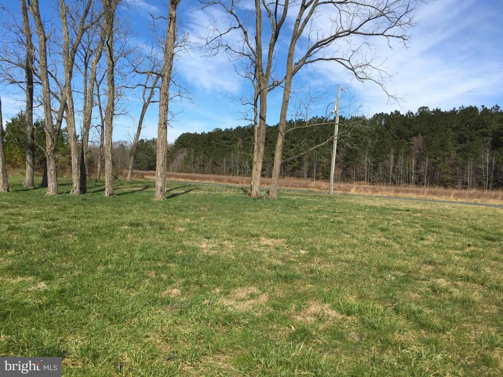 33955-5 5 Bridges Road Princess Anne, MD 21853 - Photo 3 of 46