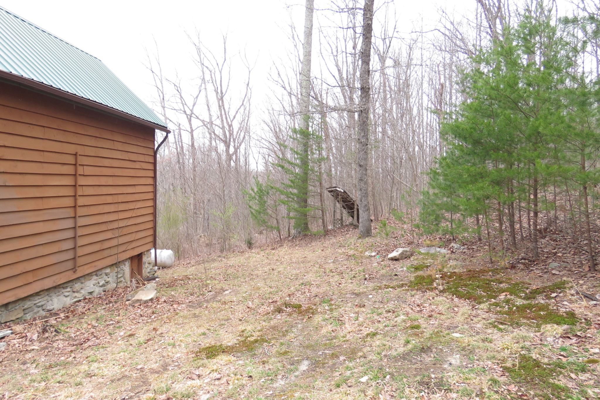 102 Siever Road Crossville, TN 38572 - Photo 10 of 15 Gallery Image 10