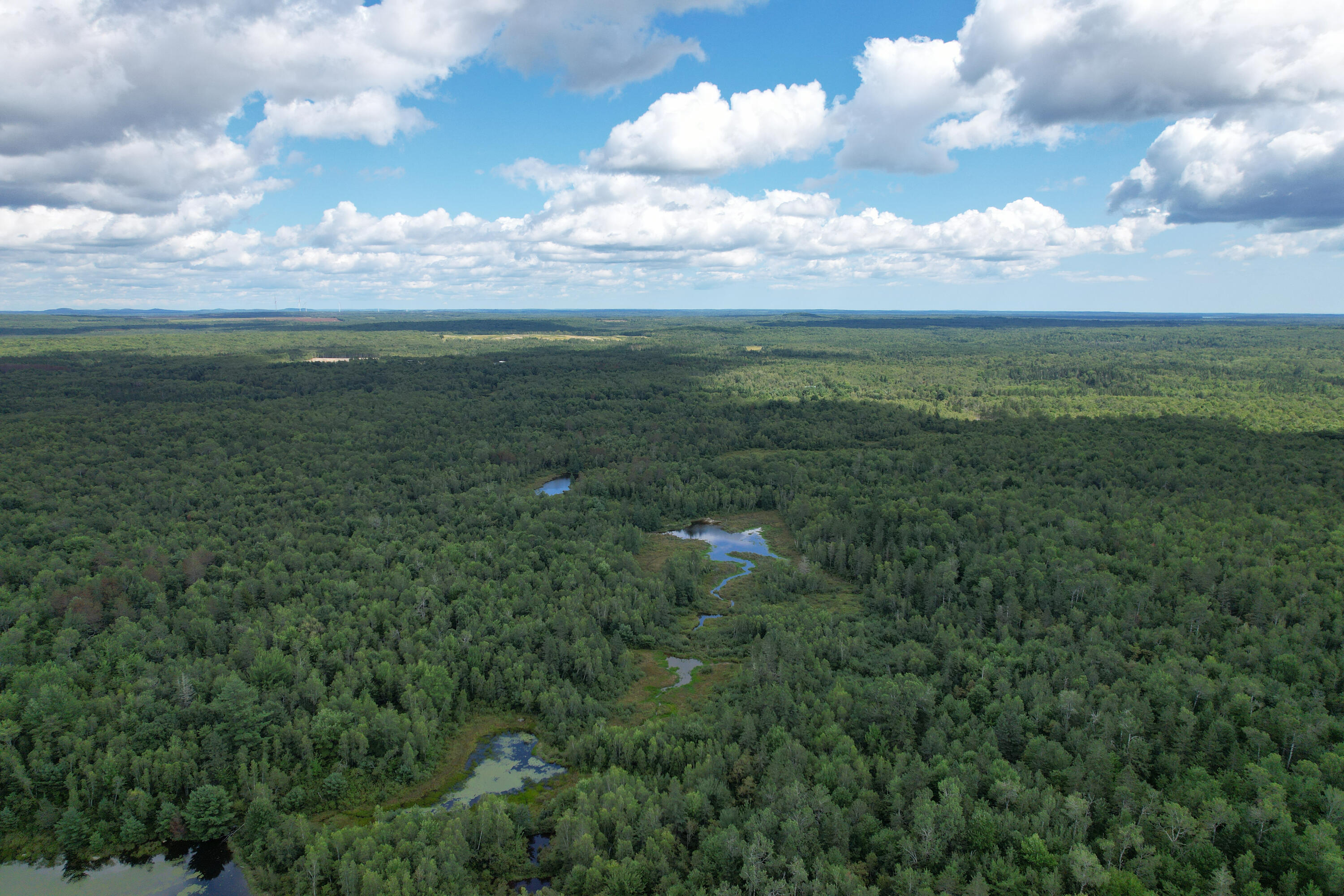 Lot 46 Lane Road Cherryfield, ME 04622 - Photo 13 of 20 Aerial