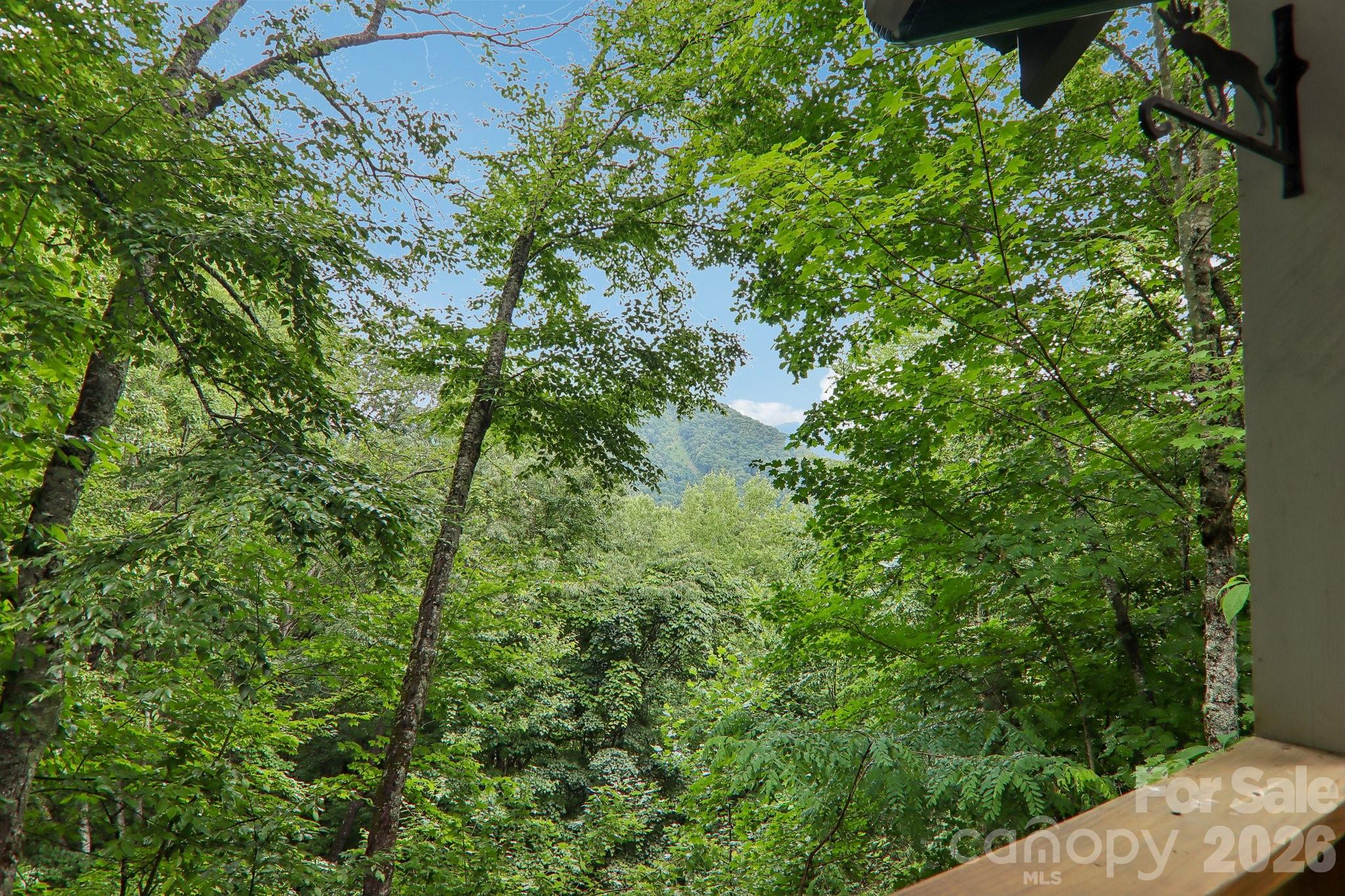 1061 Setzercove Road Maggie Valley, NC 28751 - Photo 4 of 48