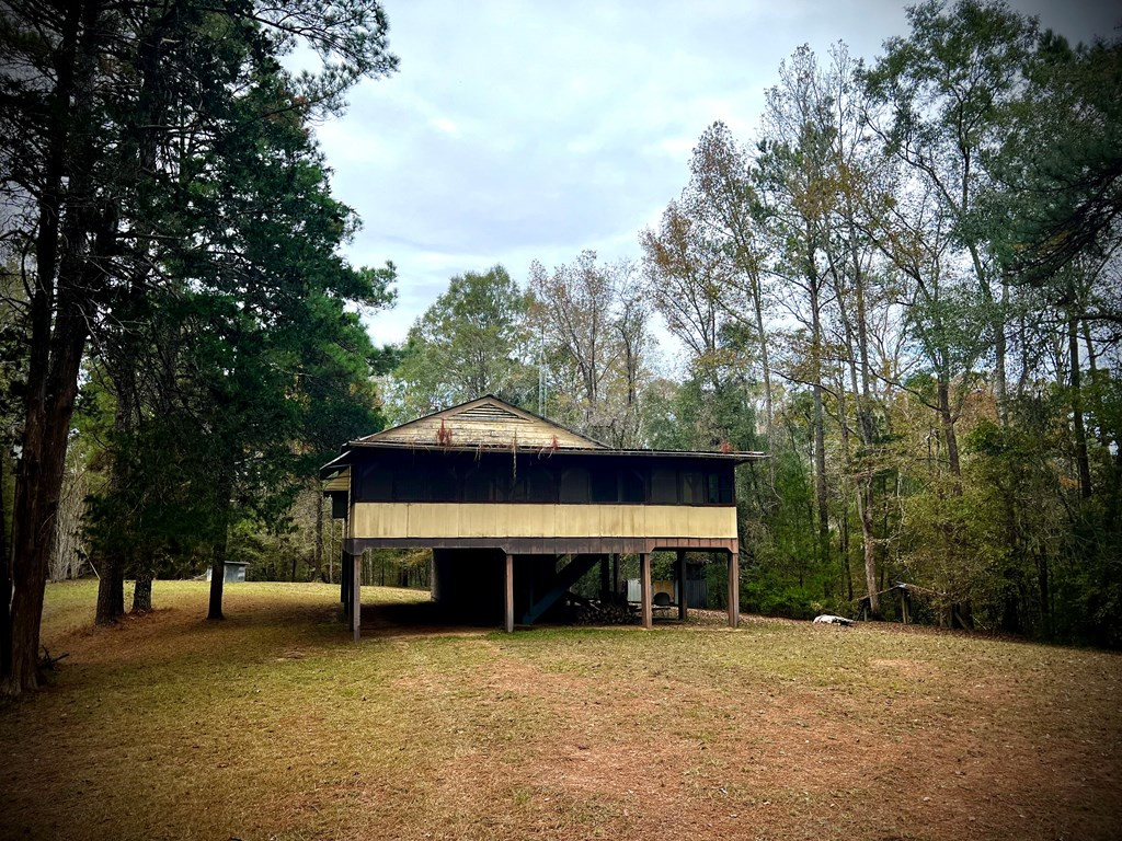 3723 B Rollinson Road Meadville, MS 39653 - Photo 5 of 12 Photo 5