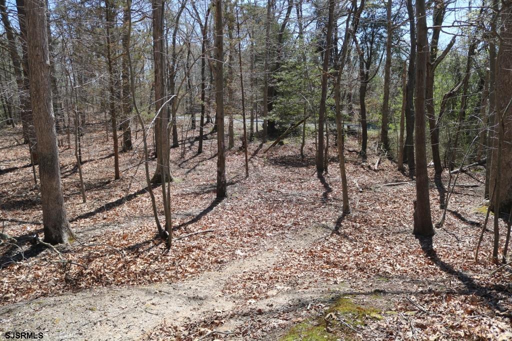 351 Shaws Mill Road Newport, NJ 08345 - Photo 23 of 84
