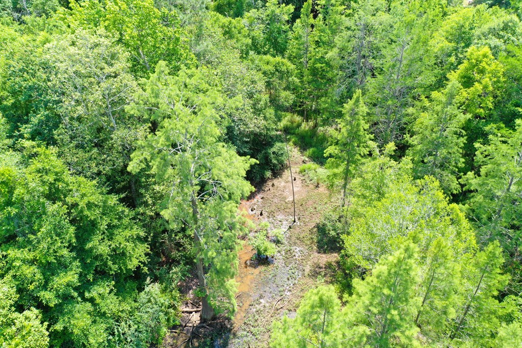 0 South Watford Road Slocomb, AL 36375 - Photo 7 of 14