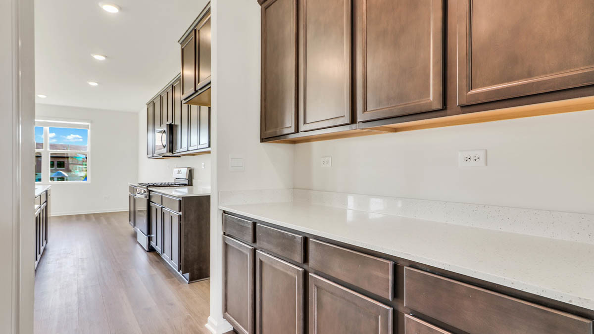 269 Snowdrop Lane Elgin, IL 60124 - Photo 5 of 30 Gallery Image 5