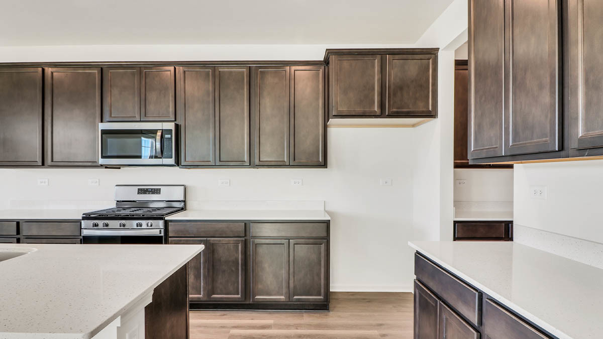269 Snowdrop Lane Elgin, IL 60124 - Photo 10 of 30 Gallery Image 10