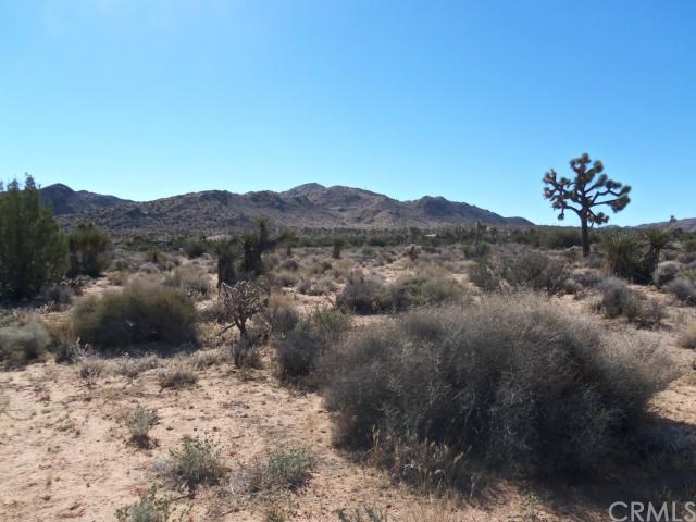 0 Juarez / Paradise View Road Yucca Valley, CA 92284 - Photo 1 of 1