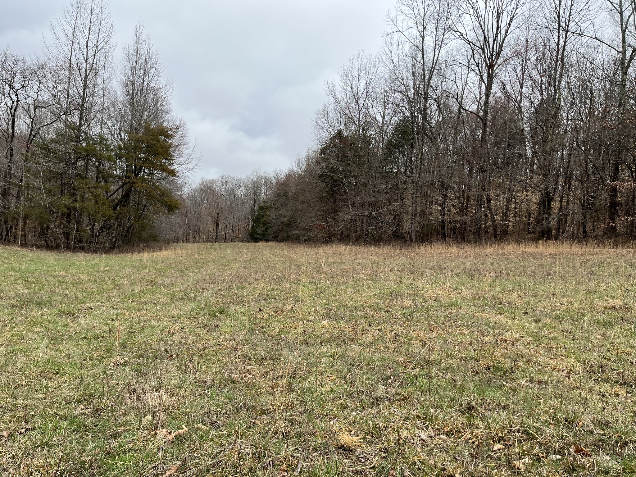 2214 Trace Creek Road Centerville, TN 37033 - Photo 12 of 13 Gallery Image 12