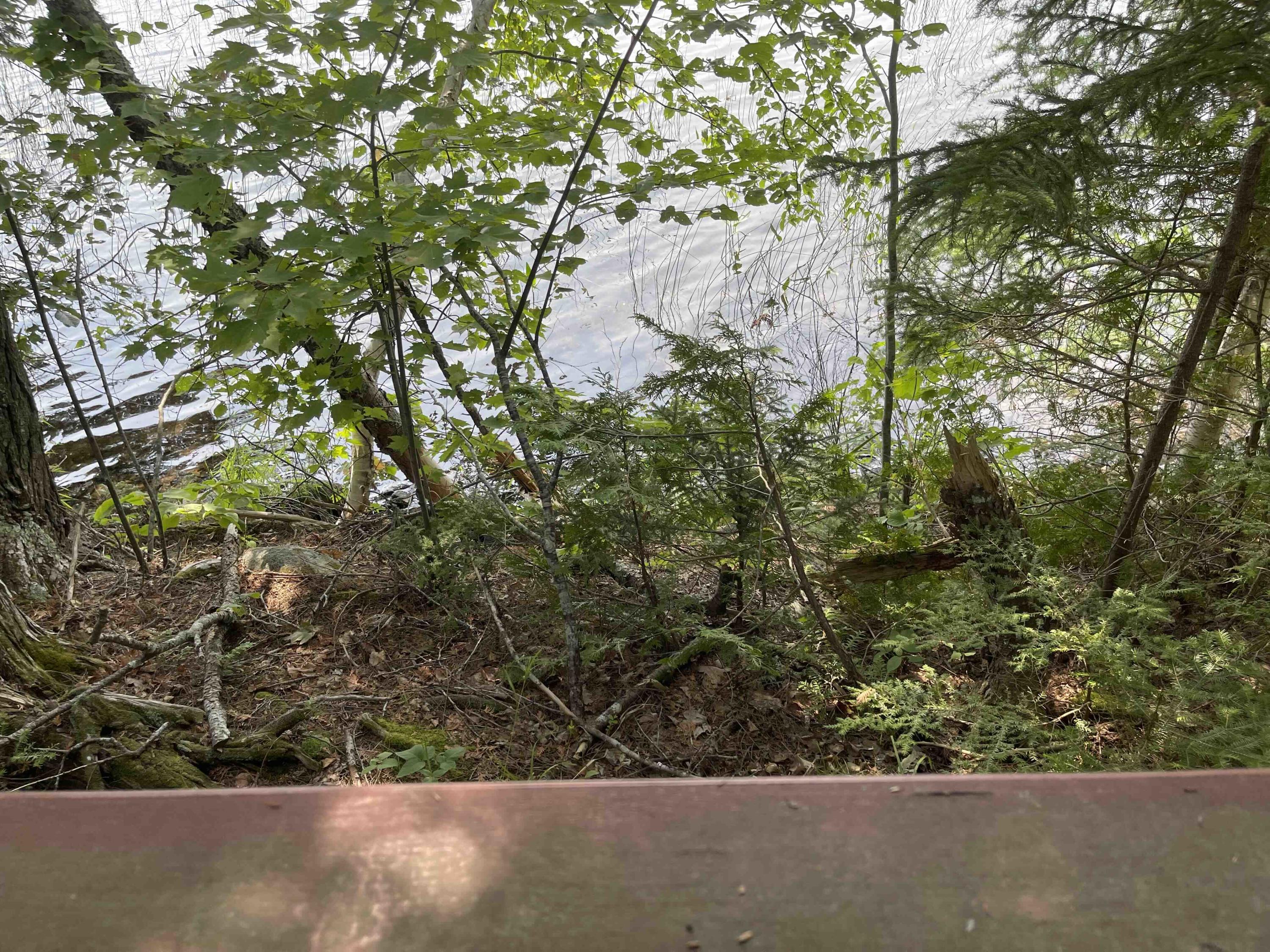 27 Gowell Road Lakeville, ME 04487 - Photo 22 of 22 6