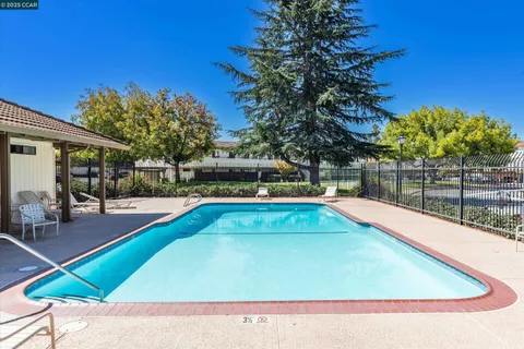 a view of a park with large trees