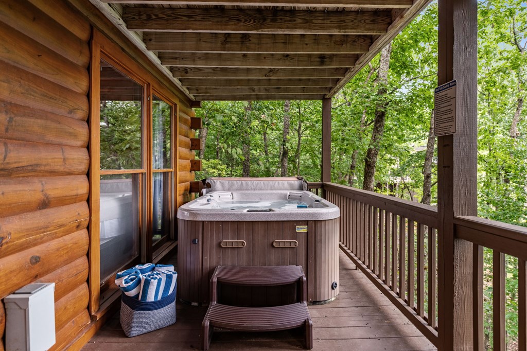 41 Beaver Court Blue Ridge, GA 30513 - Photo 17 of 24 Gallery Image 17