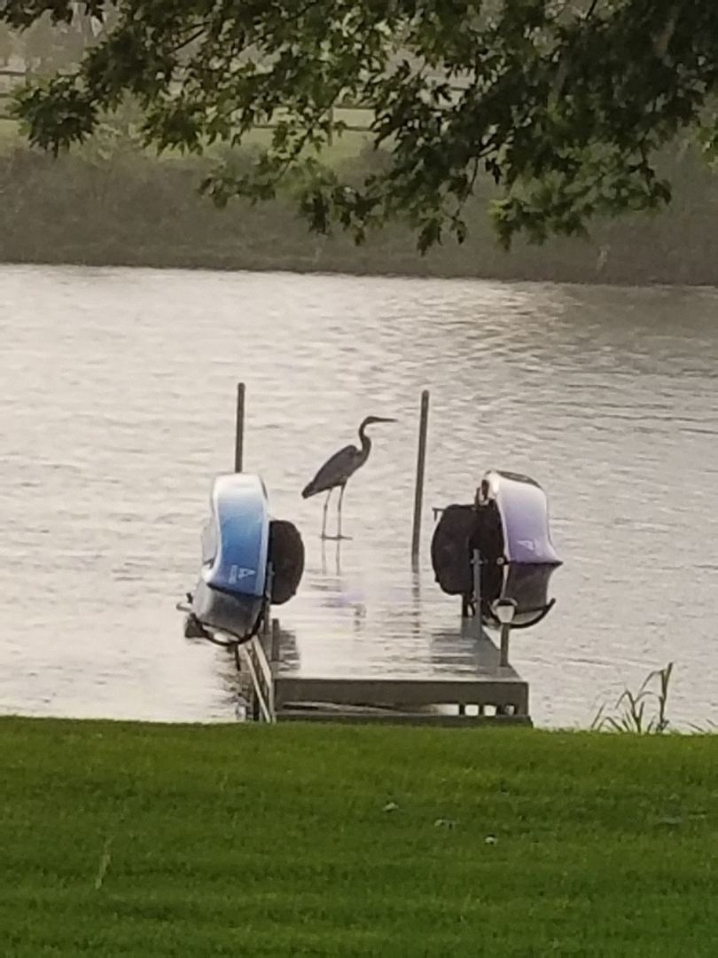 22545 South Spencer Road New Lenox, IL 60451 - Photo 46 of 47