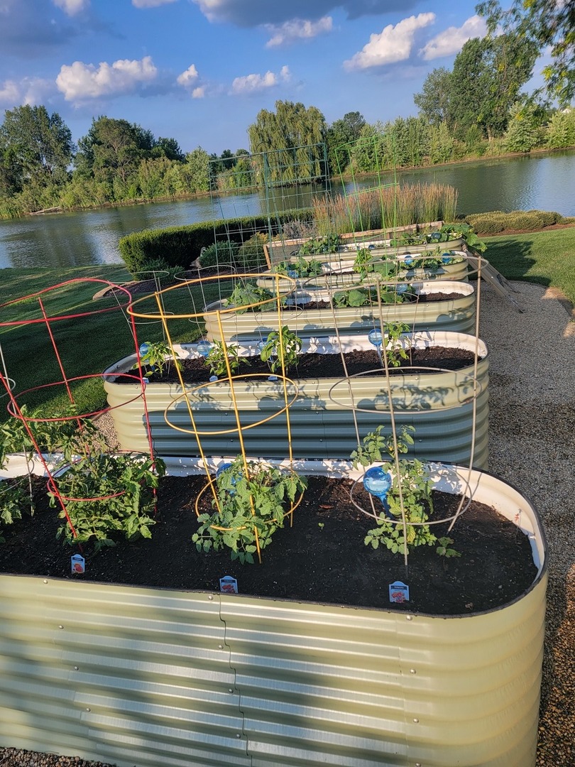 22545 South Spencer Road New Lenox, IL 60451 - Photo 47 of 47 a view of a lake with a house in the background
