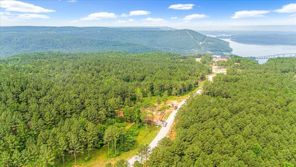 3715 Split Rail Way, Unit 1123 Guild, TN 37340 - Photo 7 of 41 06-DJI_20250611094346_0040_D