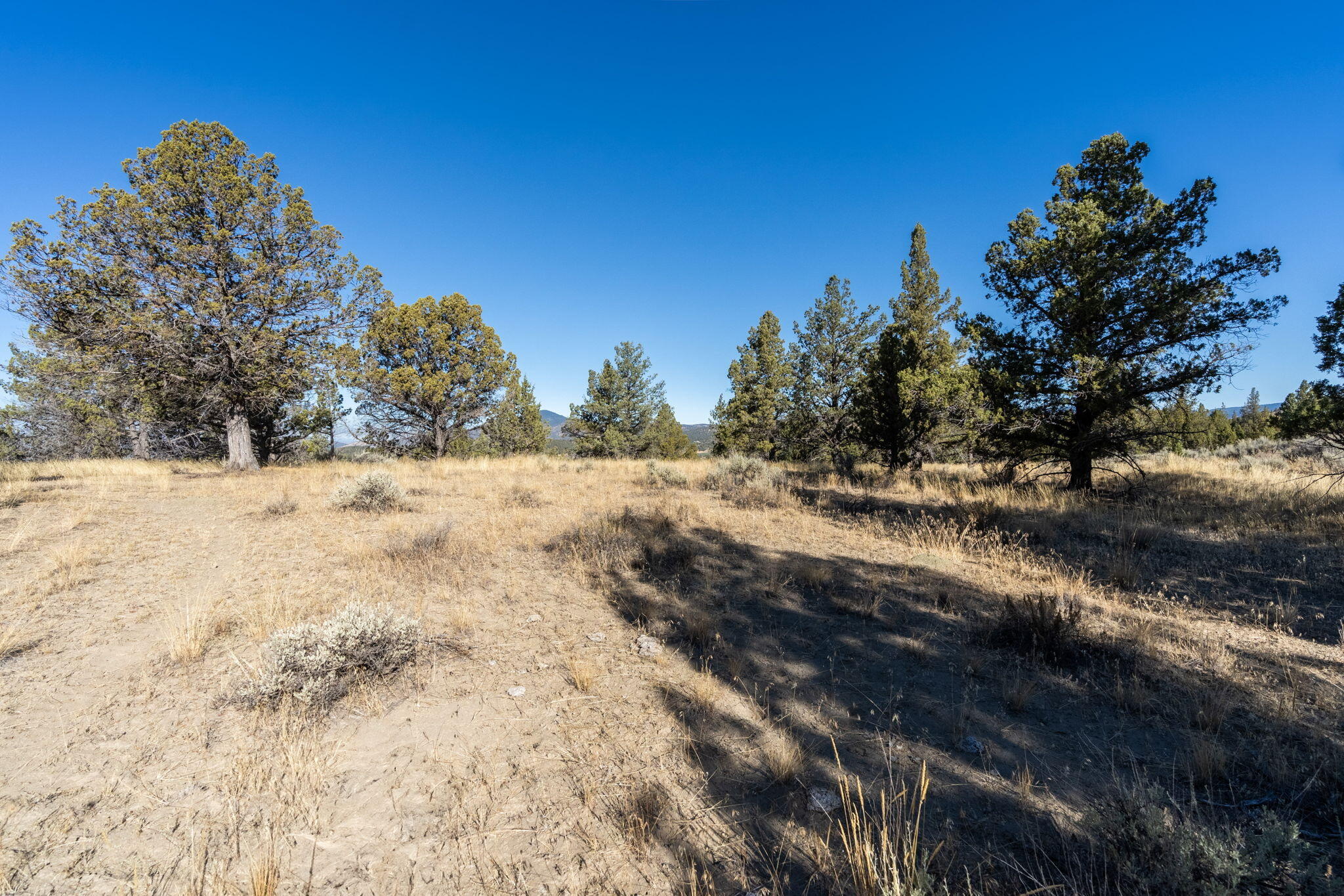 5598 North Mckay Road Prineville, OR 97754 - Photo 75 of 81 IMG_5800