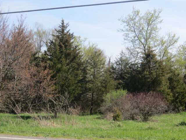 Cement City Road, Unit 16000 Brooklyn, MI 49230 - Photo 1 of 9