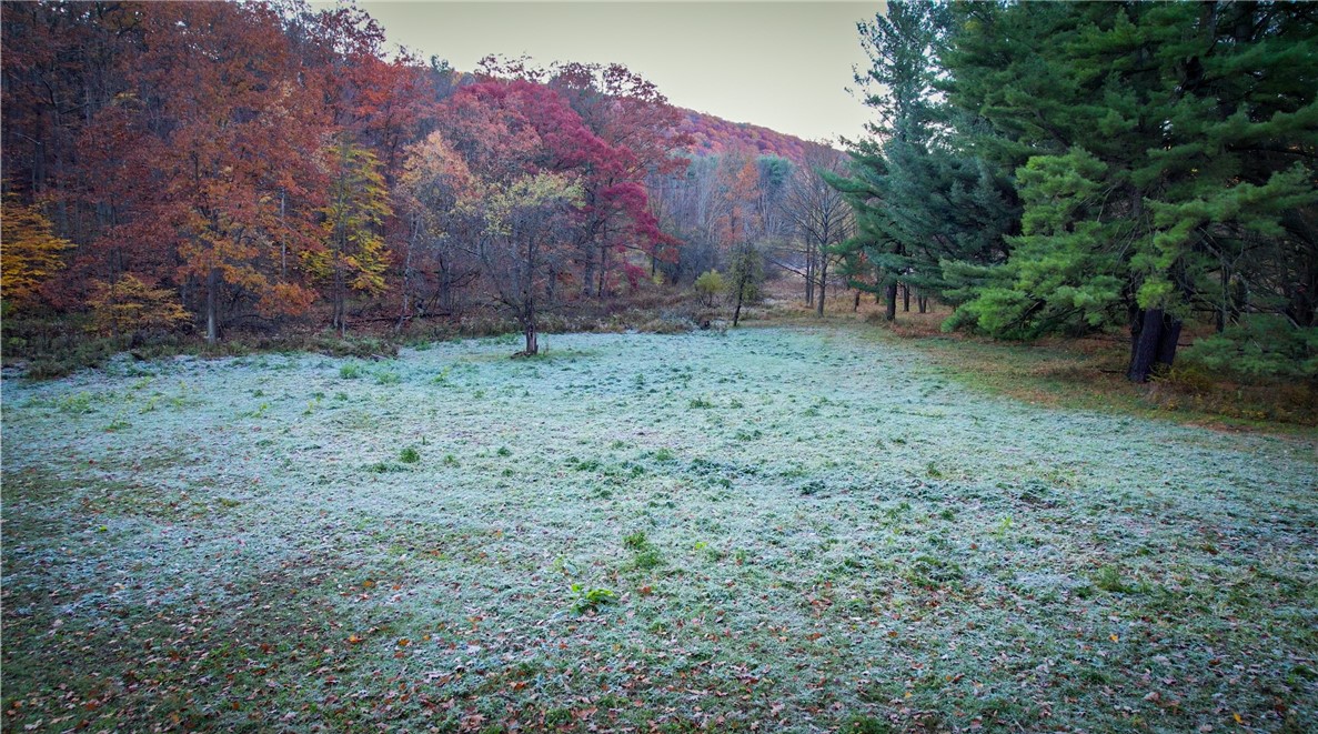 7667 Hickory Bottom Road Naples, NY 14512 - Photo 13 of 49