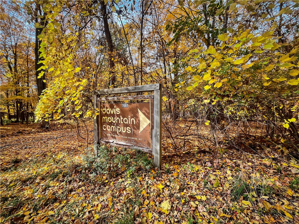 7667 Hickory Bottom Road Naples, NY 14512 - Photo 14 of 49