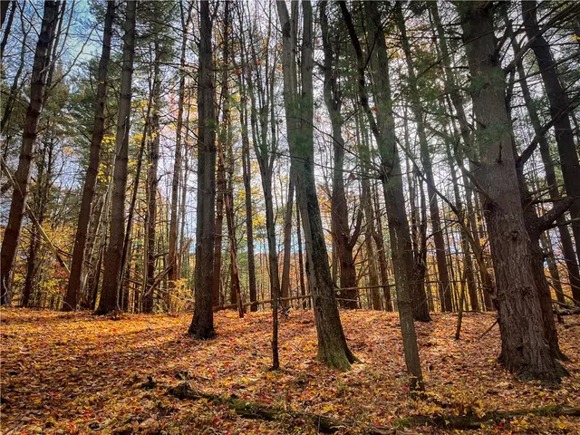 $2,999,900 | 7667 Hickory Bottom Road, Naples, NY 14512