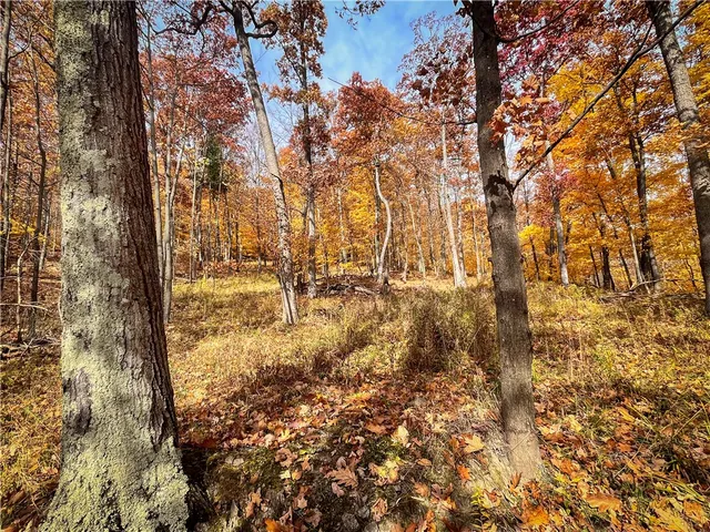 $2,999,900 | 7667 Hickory Bottom Road, Naples, NY 14512