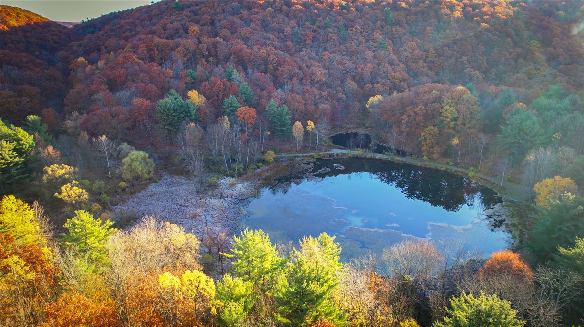 7667 Hickory Bottom Road Naples, NY 14512 - Photo 2 of 49
