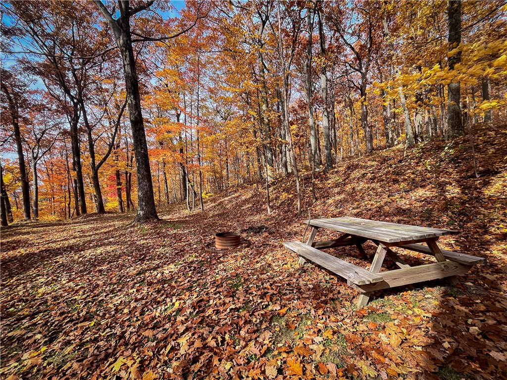 7667 Hickory Bottom Road Naples, NY 14512 - Photo 21 of 49