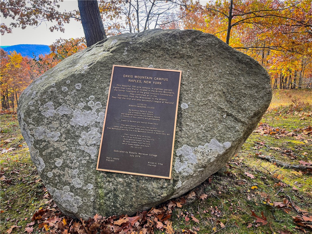 7667 Hickory Bottom Road Naples, NY 14512 - Photo 22 of 49