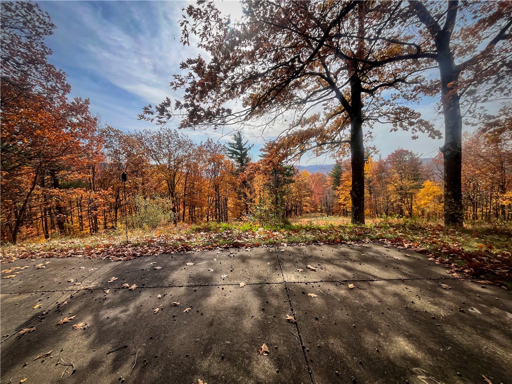 7667 Hickory Bottom Road Naples, NY 14512 - Photo 23 of 49