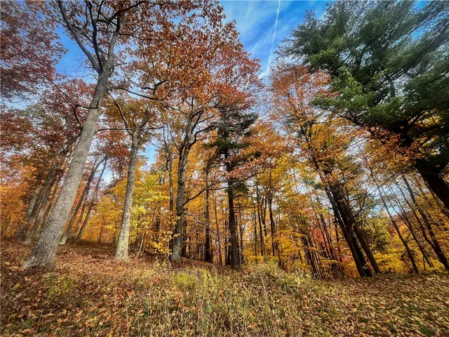 $2,999,900 | 7667 Hickory Bottom Road, Naples, NY 14512