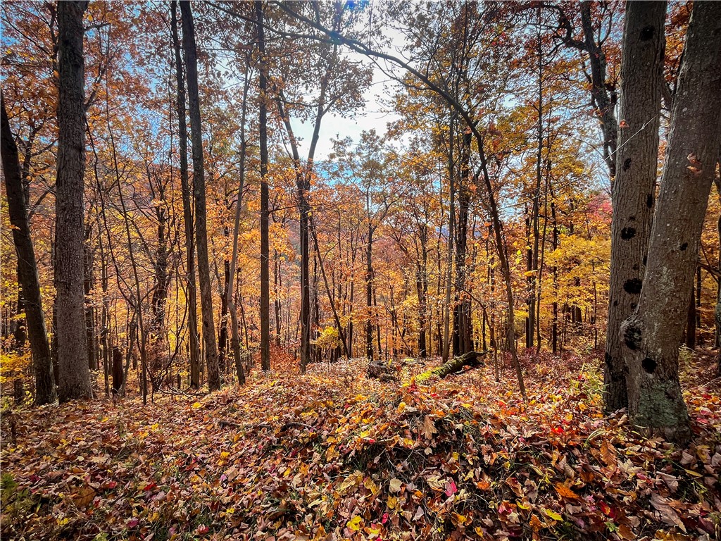 7667 Hickory Bottom Road Naples, NY 14512 - Photo 26 of 49